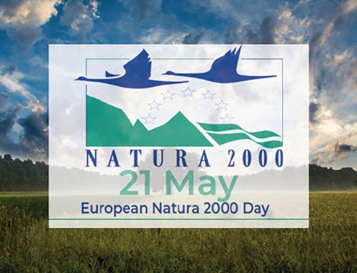 Natura 2000 day
